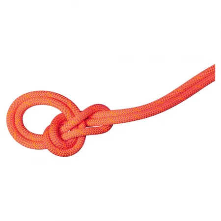 마무트 9.8 mm Crag Dry 60 m 로프 2142466560
