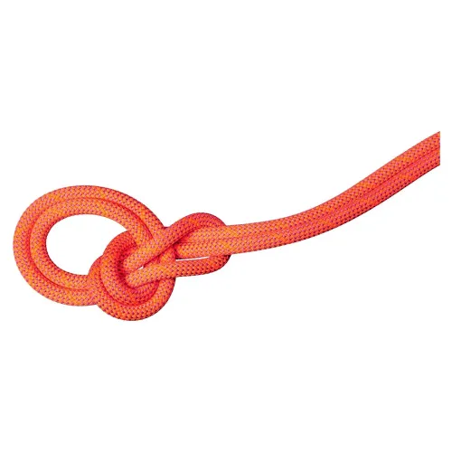 마무트 9.8 mm Crag Dry 60 m 로프 2142466560