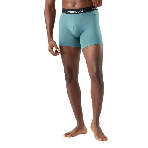 스마트울 Everyday 메리노 Brief 복서 브리프 2142876749