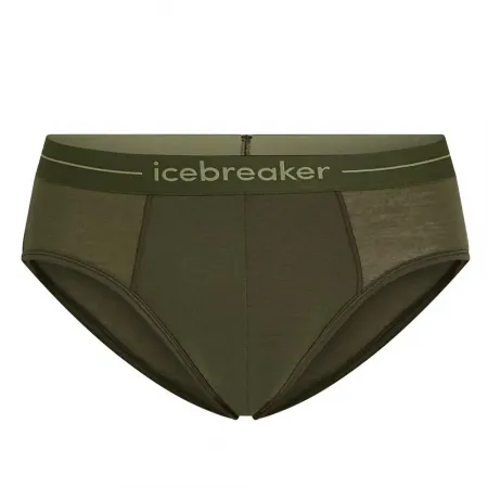 아이스브레이커 Anatomica 삼각팬티 2142888396