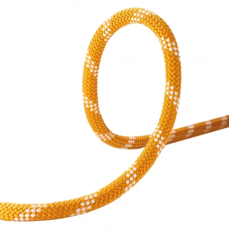 에델리드 Powerstatic 11.0 mm II 로프 2142902039