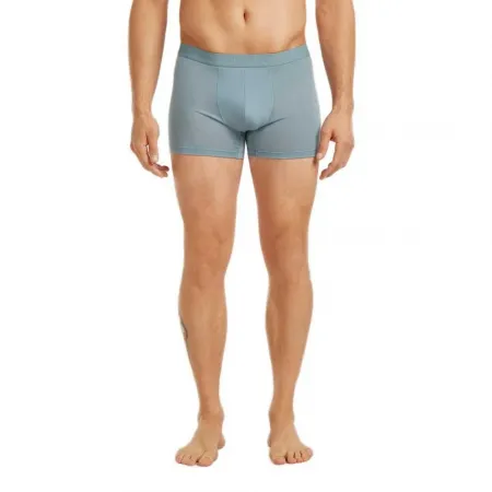 아이스브레이커 메리노 125 쿨-라이트 Anatomica 복서 브리프 2142933661