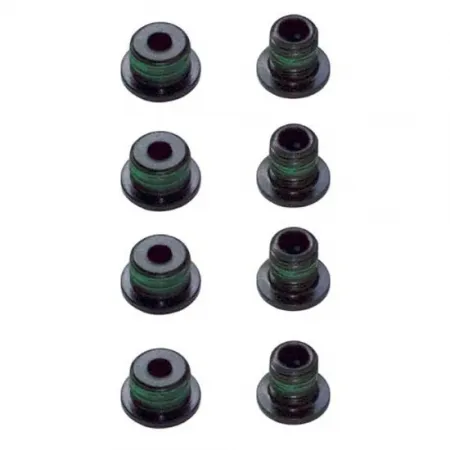 스램 Spare Parts Tornilleria Plato 2X10 체인링 나사 세트 3136336102