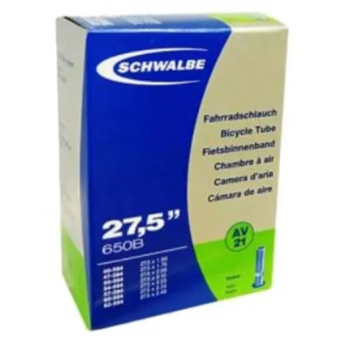 SCHWALBE AV21 40 mm 내부 튜브 3136349387