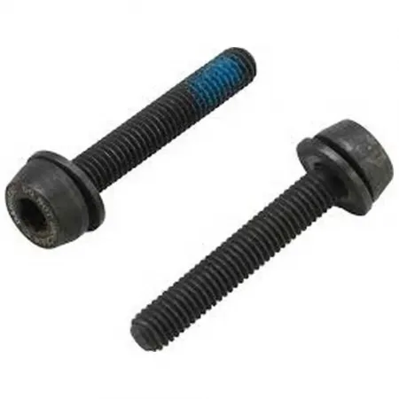 캄파놀로 나사 29 mm 3136785131