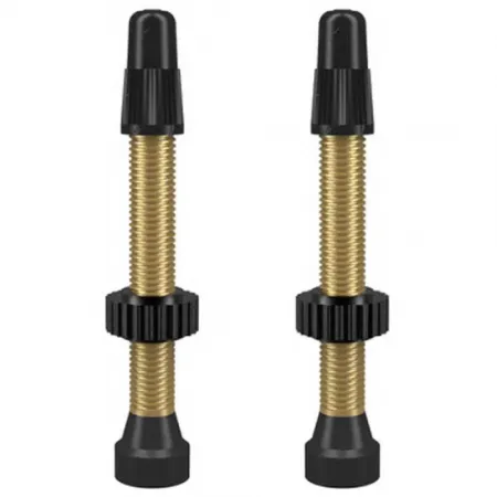 WTB TCS Brass 프레스타 밸브 3137100240