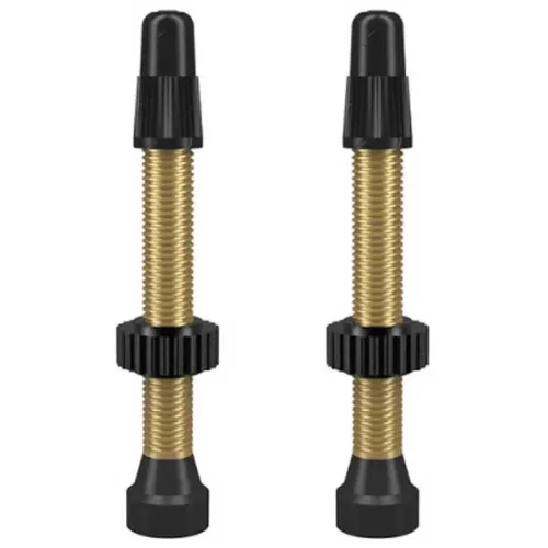 WTB TCS Brass 프레스타 밸브 3137100240