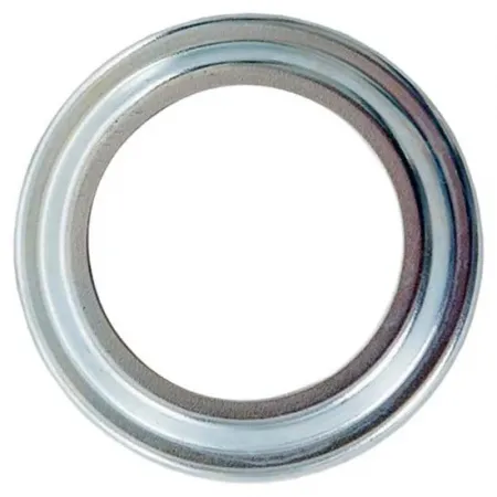 스램 T3 Galvanized Sprocket Dust Cap 베어링 3137746693