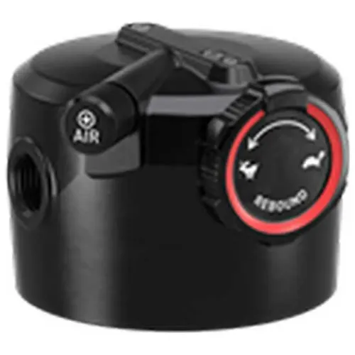 락샥 Deluxe Rt3 A1-B1 Trunnion 리어 쇼크 댐퍼 키트 3138479019