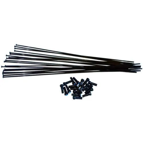 비젼 Team 81 SL 231-242 mm 스포크 3141187169