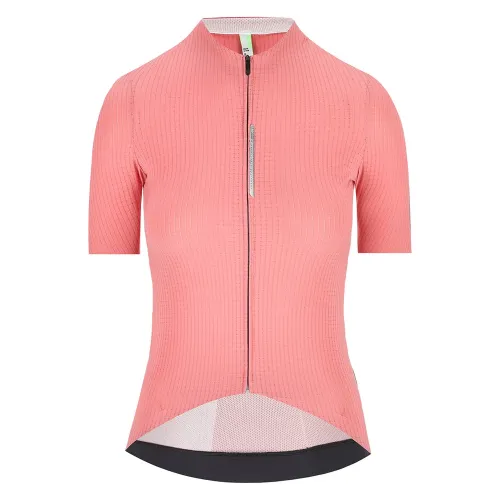 Q36.5 Dottore Pro 반팔 져지 3141807805