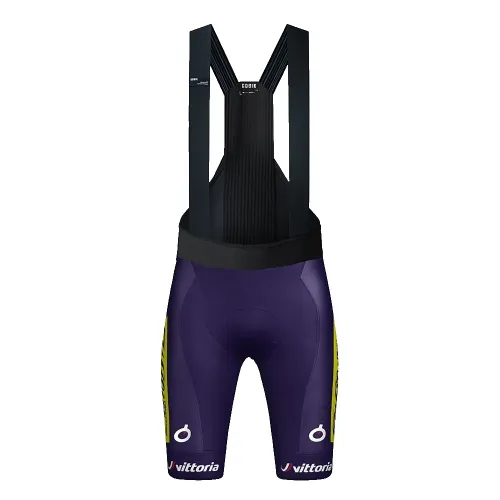 고빅 TEAMS Absolute Print K10 Wilier Team 2025 빕숏 3142065987