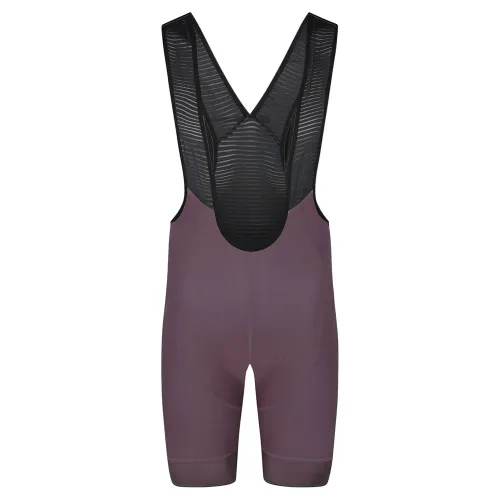 바이오레이서 Icon Seasonal 빕숏 3142112979