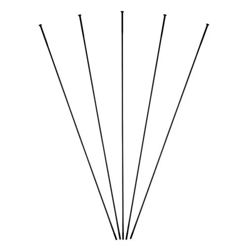 MASSI Tour 스포크 5 단위 3142319874