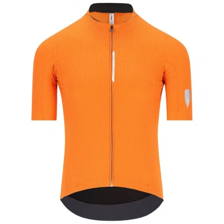 Q36.5 Dottore Pro 반팔 져지 3142522319