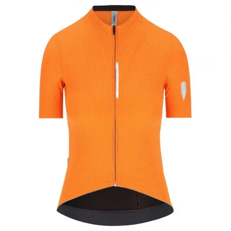 Q36.5 Dottore Pro 반팔 져지 3142522320