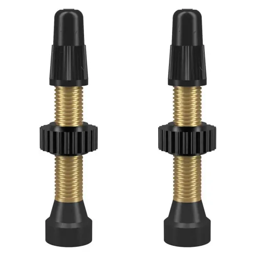 WTB TCS Brass 프레스타 34 mm 밸브 2 단위 3142683837