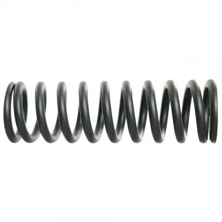 락샥 Vivid/Kage 240 x 76 쇼크 업쇼바 스프링 3143081963