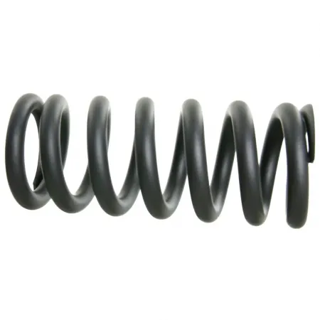 락샥 Vivid/Kage 600LB 200 x 51/57 쇼크 업쇼바 스프링 3143081964