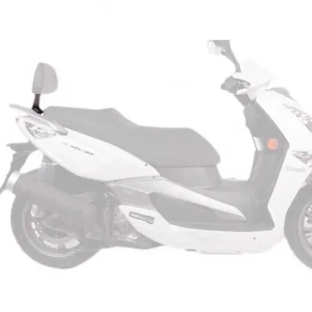 샤드 Aeon Elite/Urban 125/350i&Benelli ZenZero 125i/350i&Quadro 3D 360 등받이 장착 4136277795
