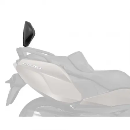 샤드 BMW C650GT 등받이 장착 4137027080