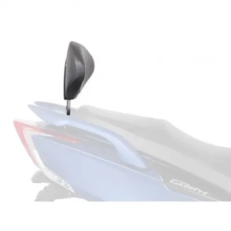 샤드 Kymco G-Dink 300i 등받이 장착 4137143621