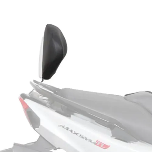 샤드 SYM Maxsym 500 TL 등받이 장착 4137764666