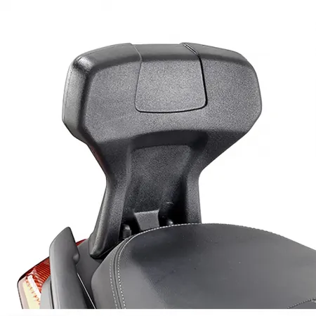 기비 TB2136 야마하 X-Max 125/300/400 17-18 등받이 4142566145