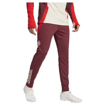아디다스 FC 바이에른 무니치 24/25 운동복 바지 5141013559