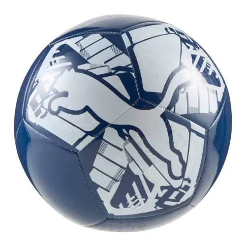 푸마 Big Cat 축구공 5142663985