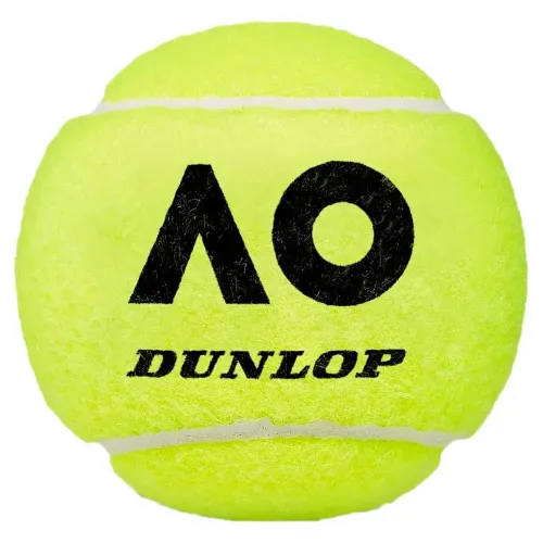 던롭 Tb 호주 오픈 2x4 애완 동물 용 판지 테니스 공 상자 6141772406