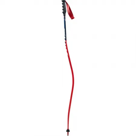 스윅스 World Cup Pro DH Carbon 지팡이 8138472167
