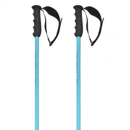 헤드 Worldcup sl 지팡이 8142286648