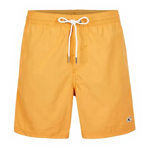 오닐 N03200 Vert Swim 16in 수영 반바지 9139059529