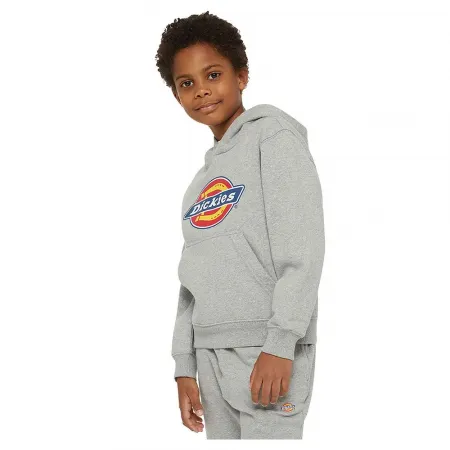 DICKIES Youth Logo 후드티 9140581579