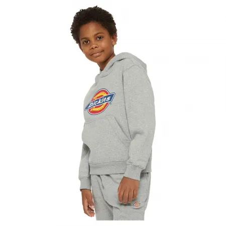 DICKIES Youth Logo 후드티 9140581580