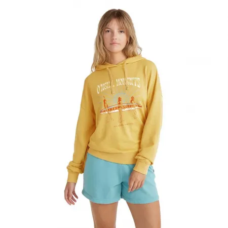 오닐 Beach Vintage 후드티 9140665384