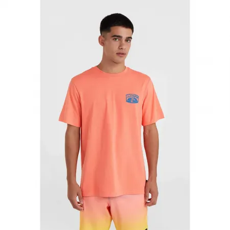 오닐 Beach Graphic 반팔 티셔츠 9141479643