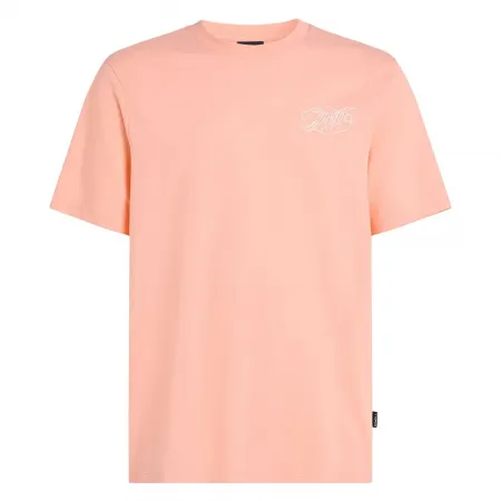 오닐 Box Logo 반팔 티셔츠 9141479696