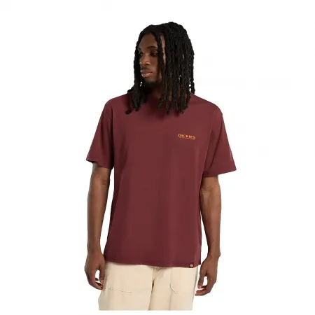 DICKIES Burns 반팔 티셔츠 9142181152