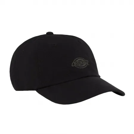 DICKIES Duck Canvas Dad 캡 9142181234