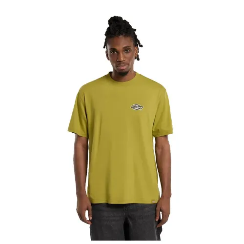DICKIES Graysville 반팔 티셔츠 9142181310