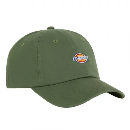 DICKIES Hardwick 캡 9142181317